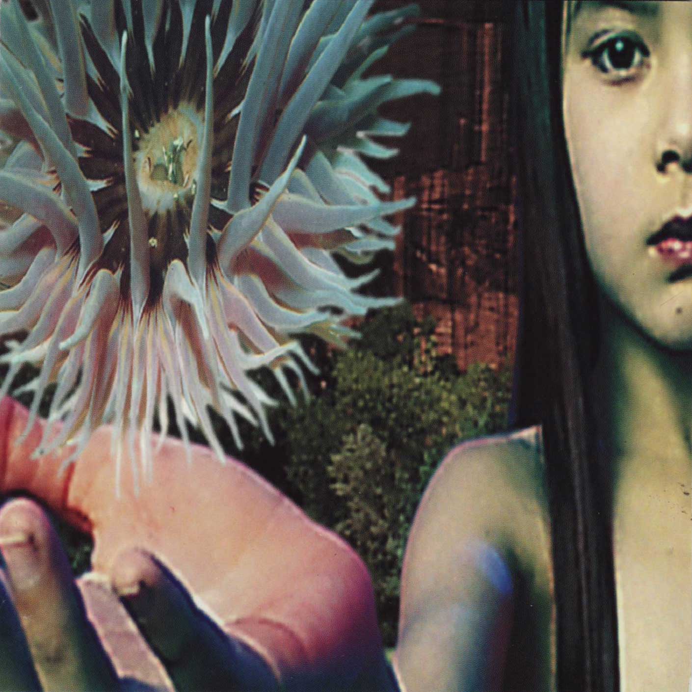 Lifeforms